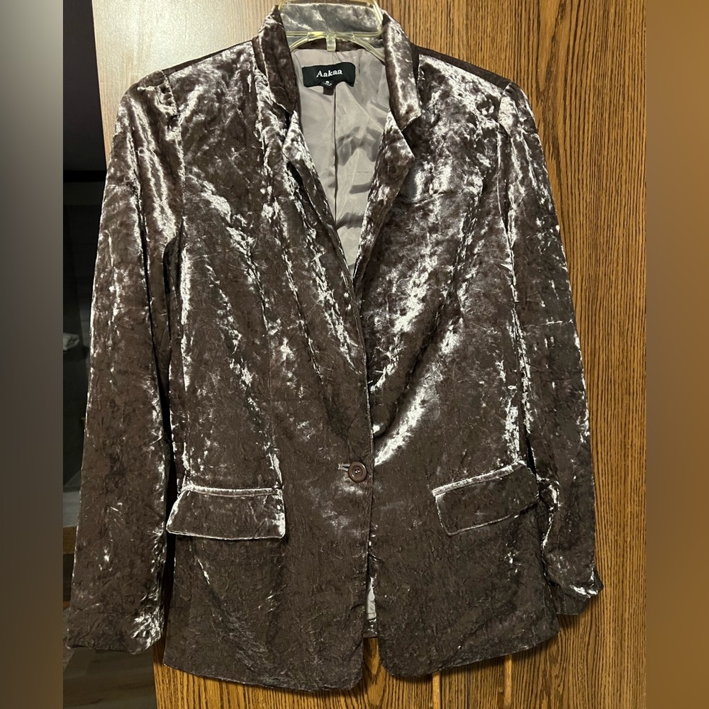Womens Small Single Button Crushed Velvet Blazer
Lightweight